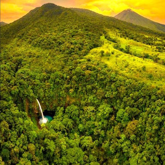 Meet your Posher, Joanna - Picture 1 of 1